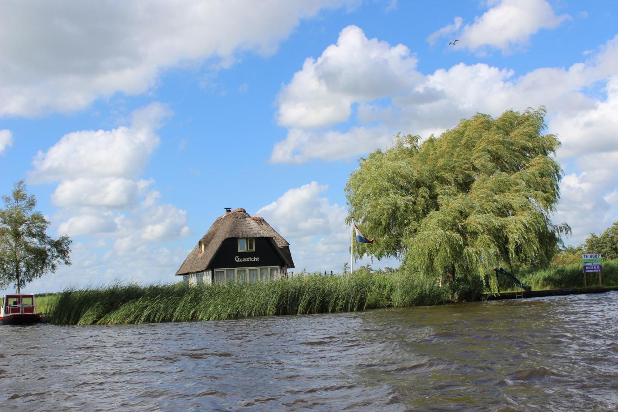 Wartena Hoeve - Vega B&B Kültér fotó
